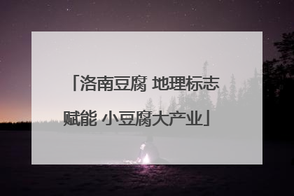 洛南豆腐 地理标志赋能 小豆腐大产业